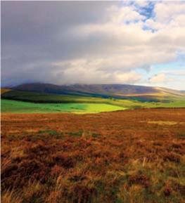 Hunting Story - Silkas on the Green Isle - image {image:count}
