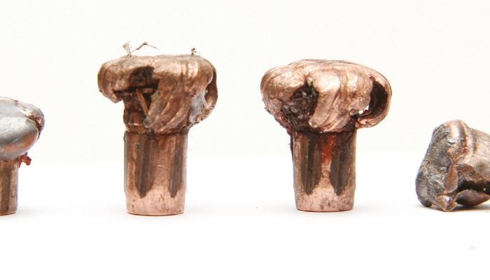 Hunting Story: Calibres for Africa - image {image:count}
