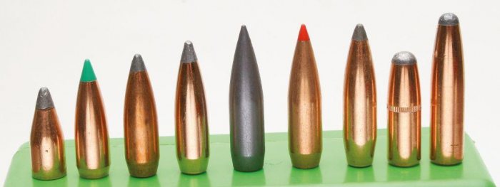 Hunting Story: Calibres for Africa - image {image:count}