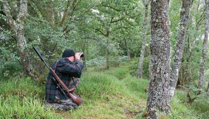 Hunting Story: Easier Going - image {image:count}