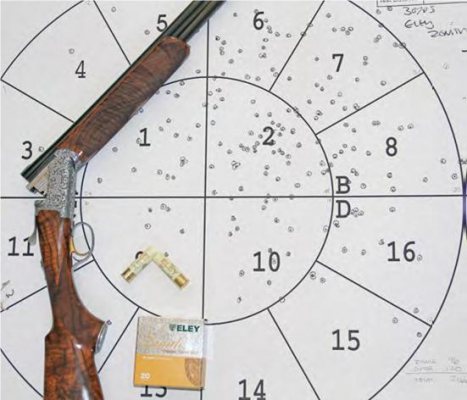 Ian Coley Rizzini EM Ribless Game - image {image:count}