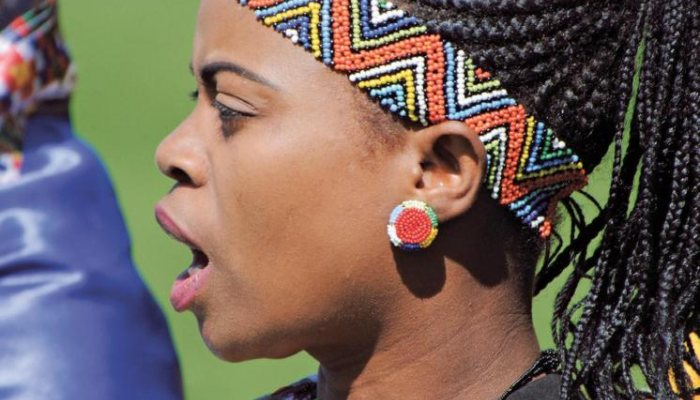 King Cetewayo’s Visit to Britain - image {image:count}