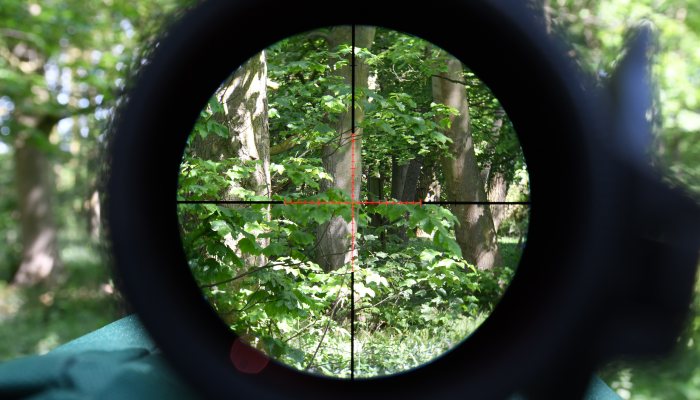 Leupold VX-6HD 4-24x52 Gen 2 Review: Optics Without Compromise? - image {image:count}