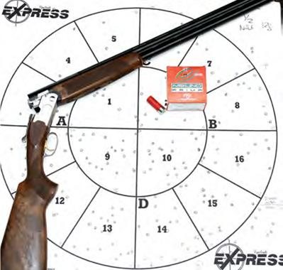 NSI Shotgun Cartridges - image {image:count}