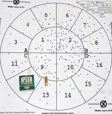 NSI Shotgun Cartridges - image {image:count}