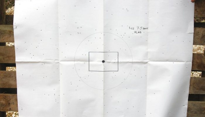 NSI Shotgun Shells - image {image:count}