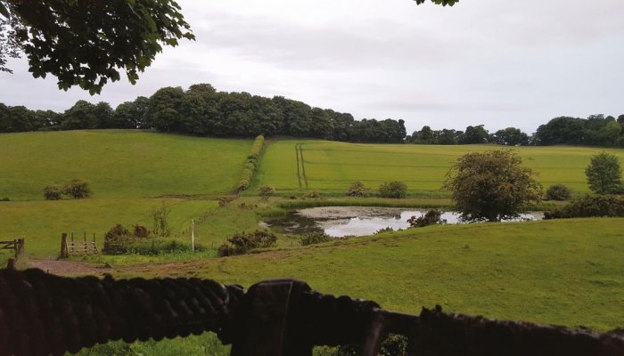 Night Vision Diaries: Foxing on the Raith Estate Pt1 - image {image:count}