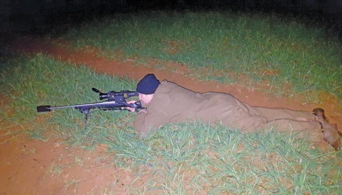 Night Vision Diaries: The Day Job - image {image:count}