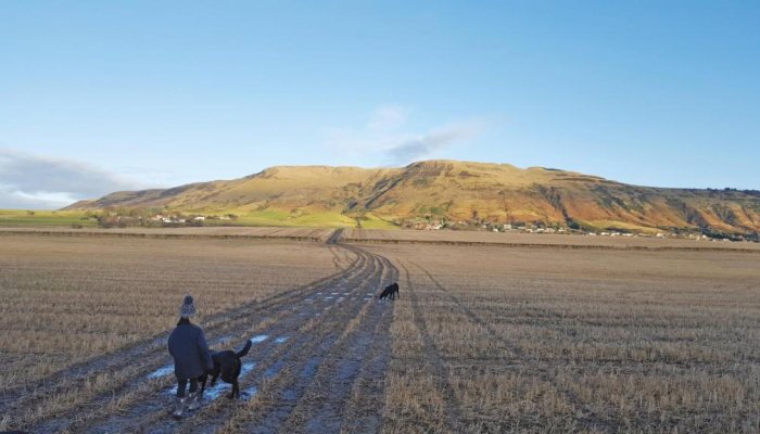 Nightvision Diaries: Protect & Serve - image {image:count}