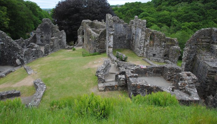 Okehampton Castle - image {image:count}