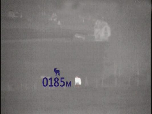 Optics for Deer Stalking - image {image:count}