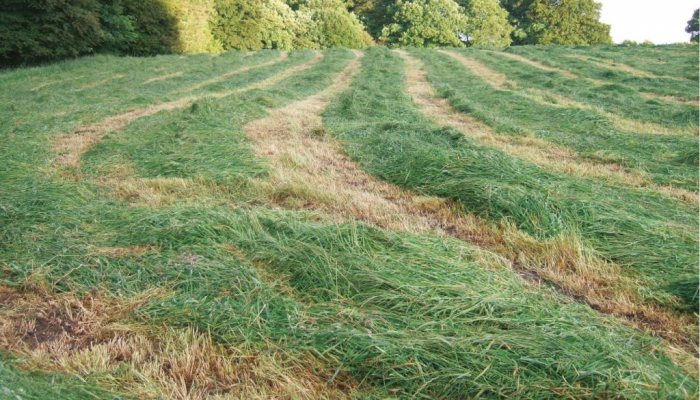 Pest Control Diary: Early Doors - image {image:count}