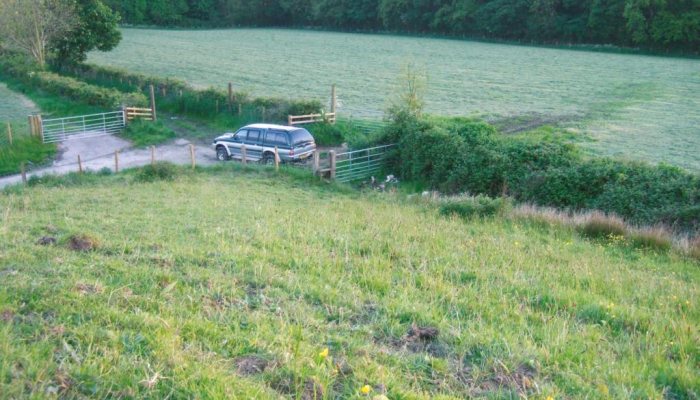Pest Control Diary: Early Doors - image {image:count}