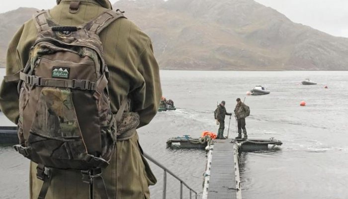 Project Artemis reconnection - image {image:count}