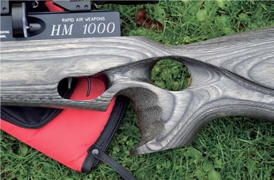 RAW HM1000 - image {image:count}