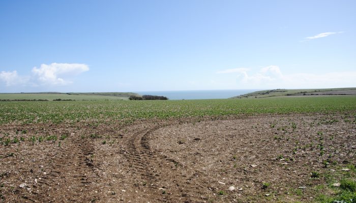 The Radar Site at Worth Matravers - image {image:count}