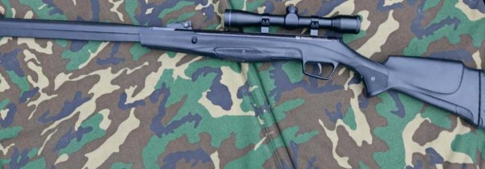 Top Ten Airguns for Plinking & Hunting - image {image:count}