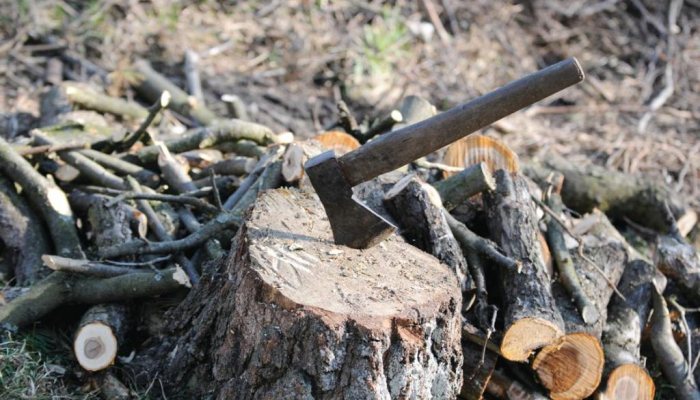 Safe Axe Usage Bushcraft Skills Gun Mart