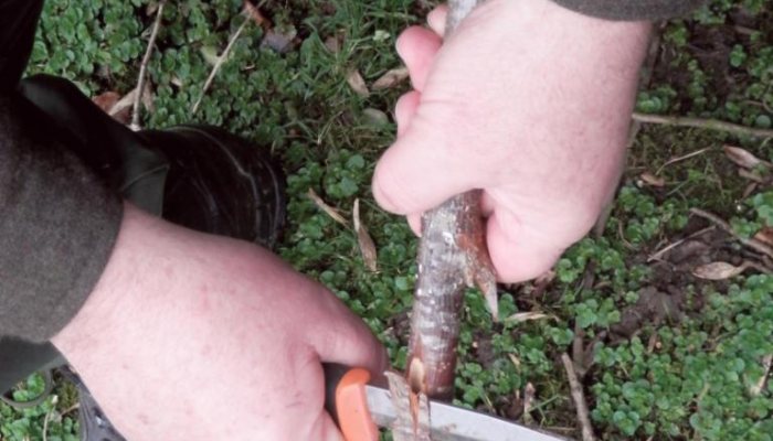 Safer Knife Usage - image {image:count}