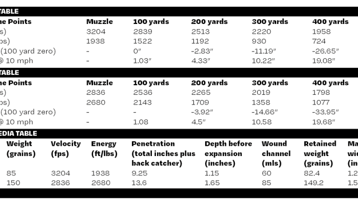 Winchester Extreme Point Copper Impact lead-free ammunition - Serious Expansion - image {image:count}