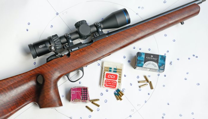 22 Shotshells - image {image:count}