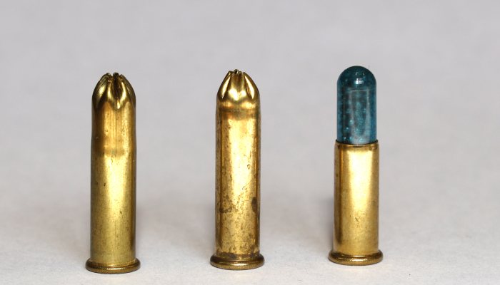 22 Shotshells - image {image:count}