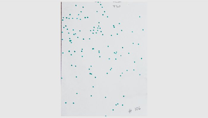 22 Shotshells - image {image:count}