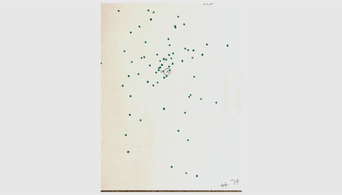 22 Shotshells - image {image:count}