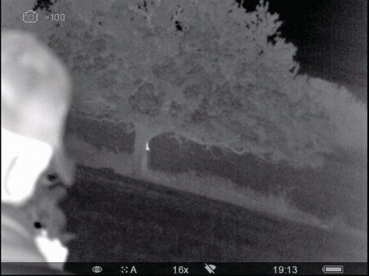 Squirrel Hotspot - image {image:count}