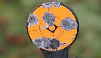 The Caldwell Shooting Gallery