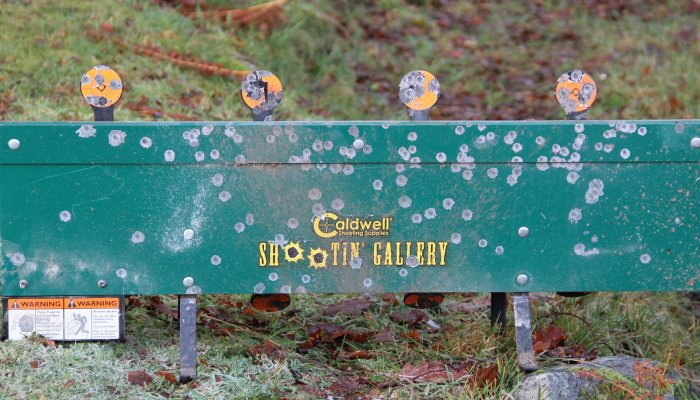 The Caldwell Shooting Gallery - image {image:count}