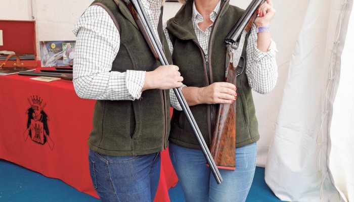 The Gamefair 2016 - image {image:count}