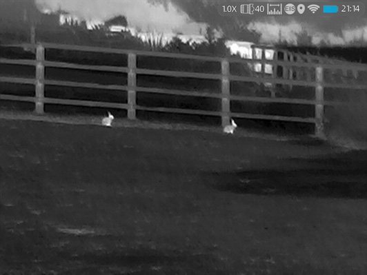 Two are better than one – ThermTec; the Cyclops D-Series CP340D Dual FOV Monocular - image {image:count}