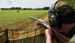 Pigeons in, ducks out – Defra moves to shorten the quarry list