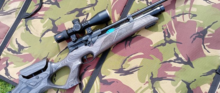 Weihrauch HW110T Adjustable Laminate Review: A Winning Formula