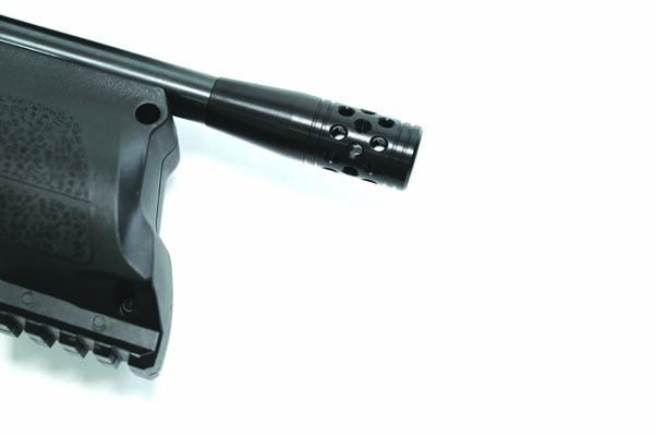 Walther Reign M2 - Sitting Pretty - image {image:count}