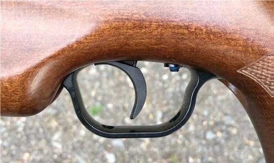 Walther LGV Master Pro - image {image:count}