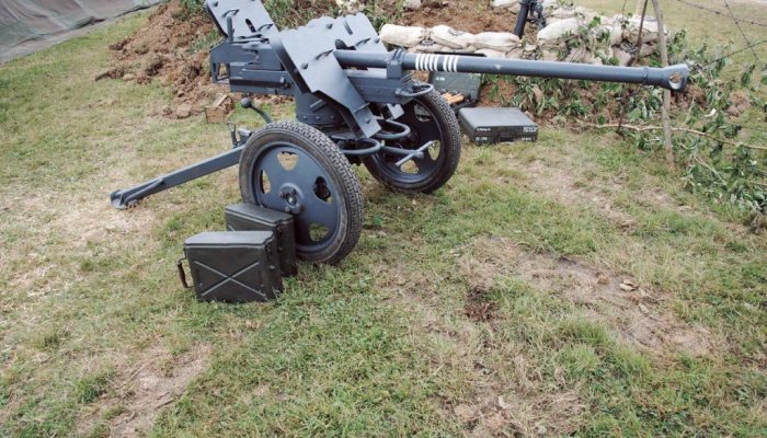 War & Peace Revival - image {image:count}