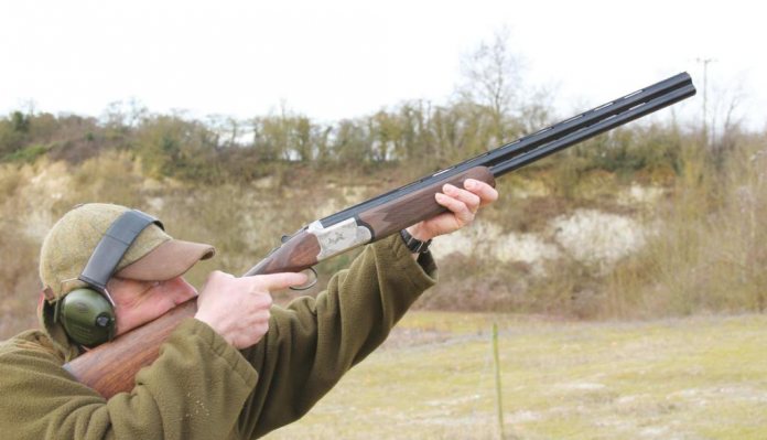 Webley & Scott 951 Game