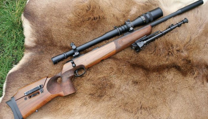 What .17 Calibre? - image {image:count}
