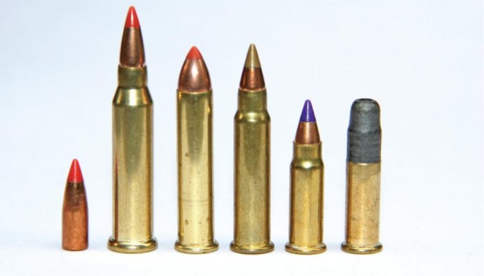 What .17 Calibre? - image {image:count}