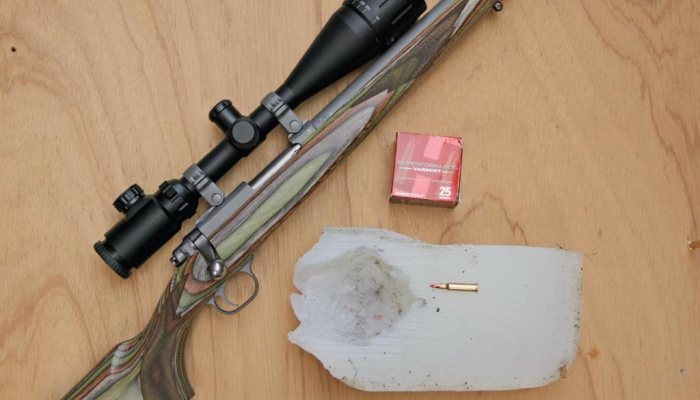 What .17 Calibre? - image {image:count}