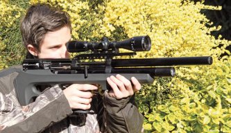 Wildcat FX Airguns