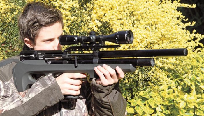 Wildcat FX Airguns - image {image:count}