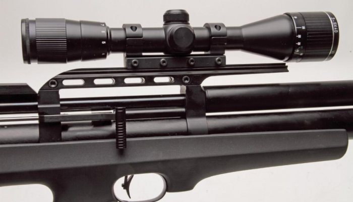 Wildcat FX Airguns - image {image:count}