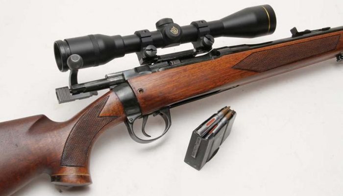 Wildcatting - Lee Enfield 303 Sporter - image {image:count}