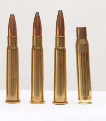 Wildcatting - Lee Enfield 303 Sporter - image {image:count}