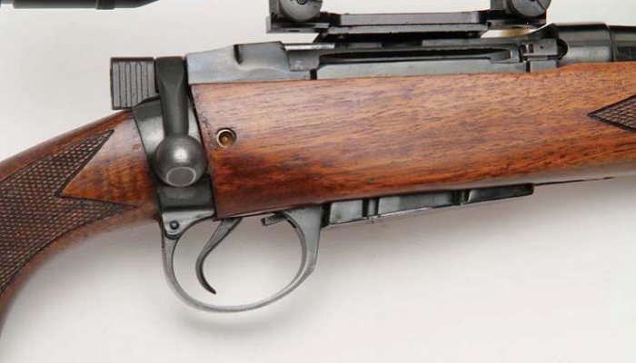 Wildcatting - Lee Enfield 303 Sporter - image {image:count}