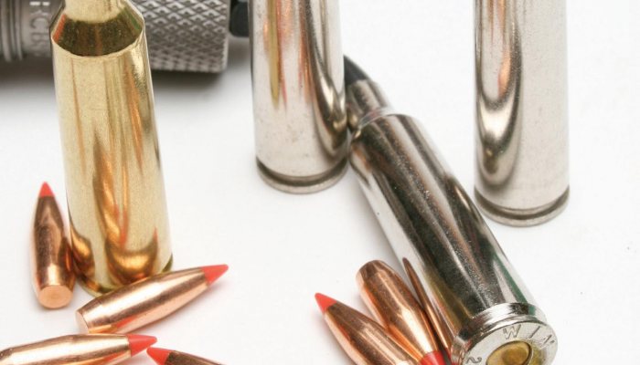 Wildcatting: A Classic Remastered - image {image:count}