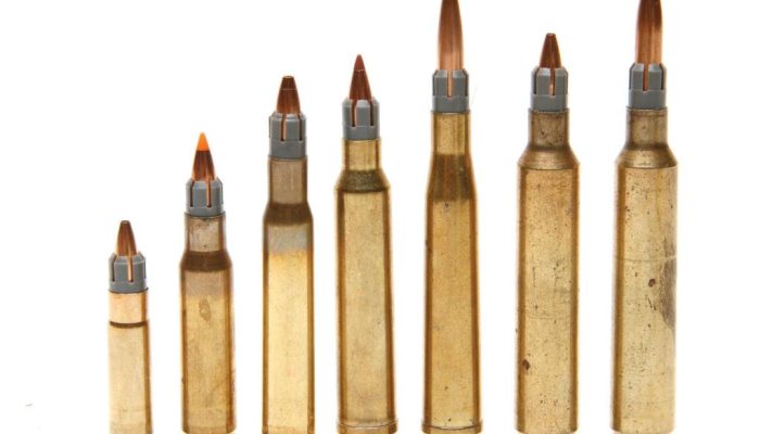 Wildcatting - image {image:count}